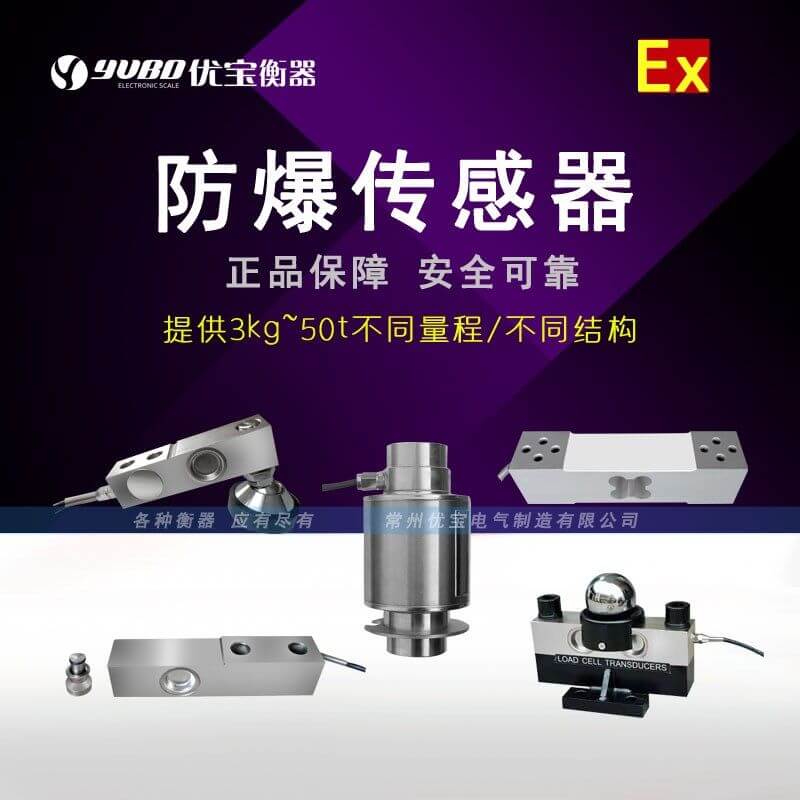 Explosion-proof sensor